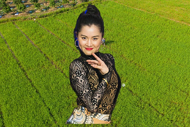 看来王安麒果然是个高人呢，给自己的东西简直就是宝贝