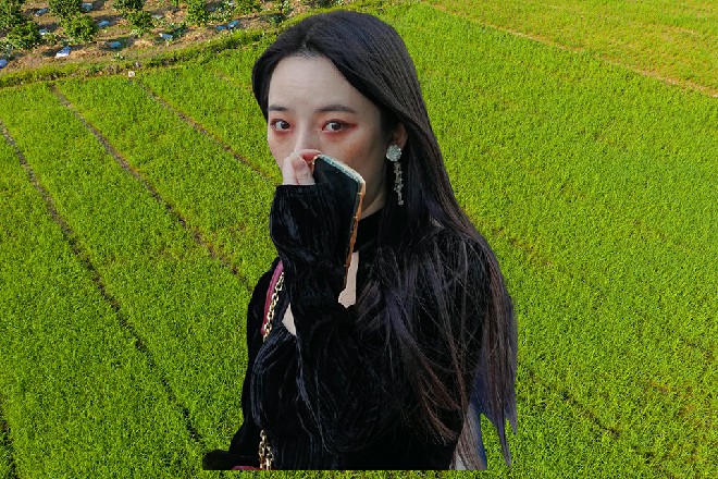 这样的确太无聊了，我们不如换个有意思的方式，如何