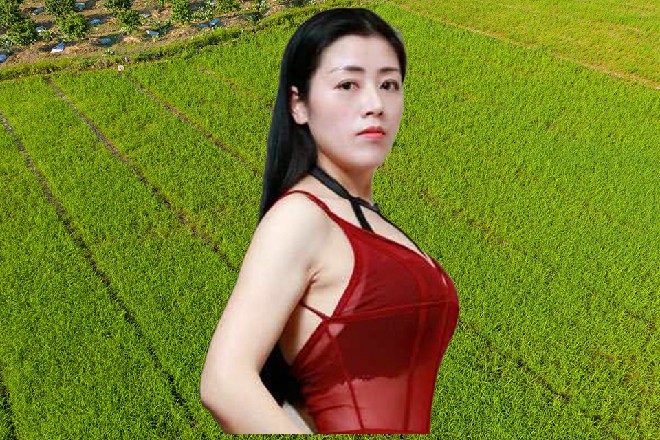 放心吧，女士，我们是复仇者，专门对抗恶魔的革命军