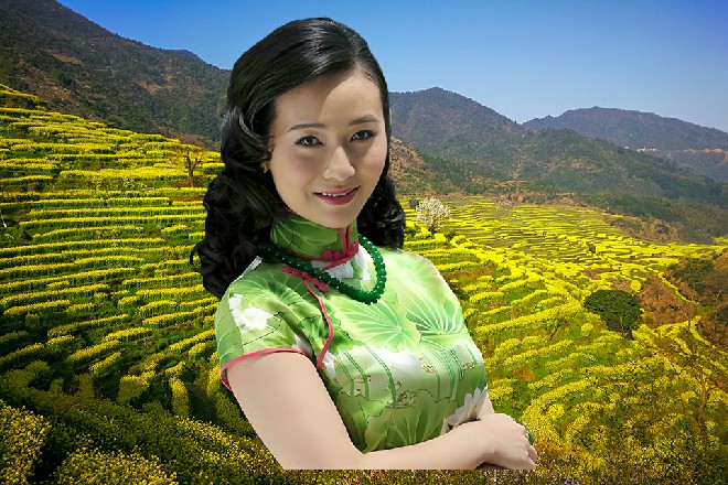秘书长的额头上淌下了冷汗，这，这真的是事实吗