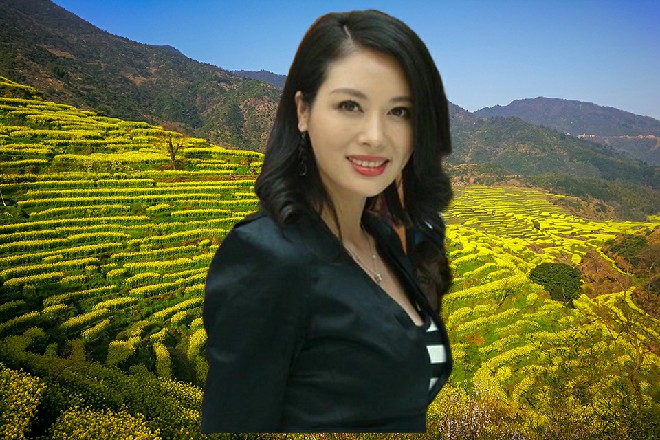 若依说着，一拍手，两个小天使飞了出来，直接拉弓射箭