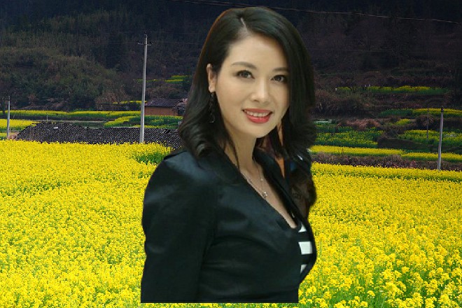 伊轩越飞越快，眨眼就像是炮弹似的，瞬间消失在山下