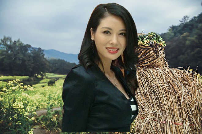 这人从黑暗中走了出来，他不是别人，正是苏曼s的上司唐杰