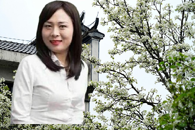 拥有完全体的005，战斗力飙升，几乎接近金仙级了