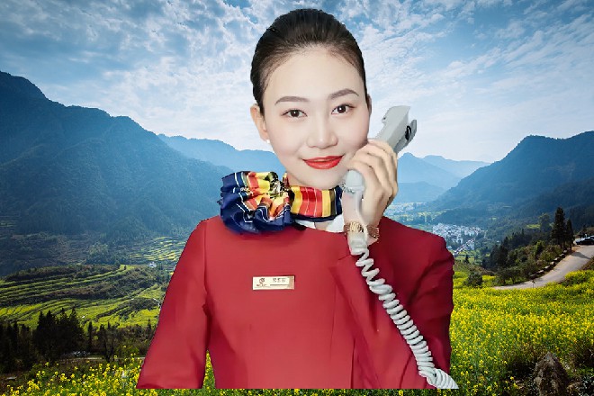 其他人似乎只把龙智的话当玩笑话，但诺曦S却上了心