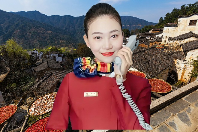 我给它喂了好多天材地宝，你看，它已经快成为四翅了