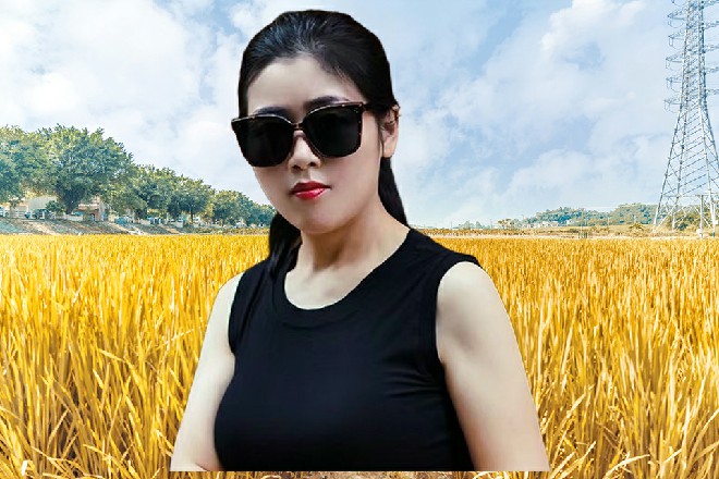这么多人，若依感觉陈佳音出来，恐怕就会引发一阵暴乱