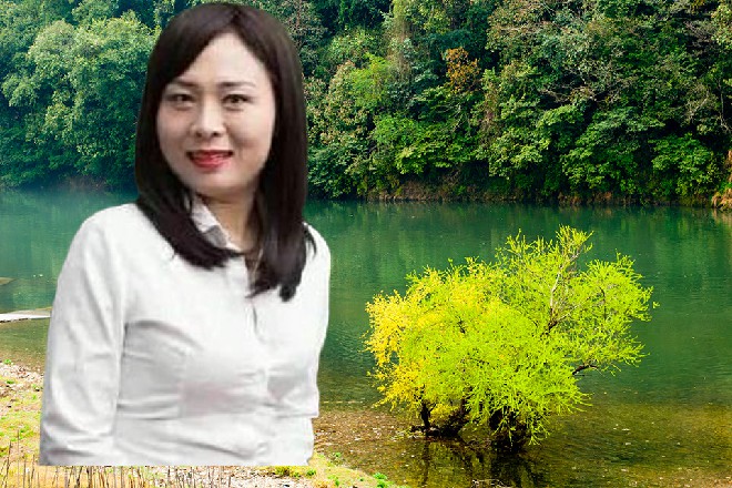 伊轩笑了，他缓缓说道：山口组的黑龙，就是我杀死的