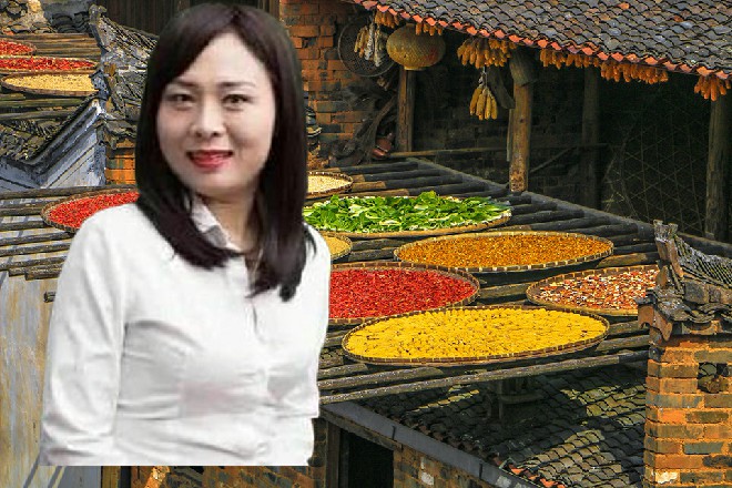 说完，她的身体化作了点点星芒，消失在诺曦S的面前