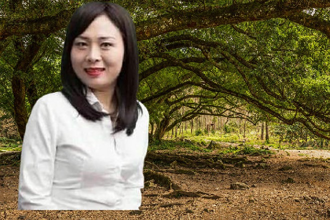 红色妖姬几乎动用了所有的财力和物理，建设了这麒麟门的驻地