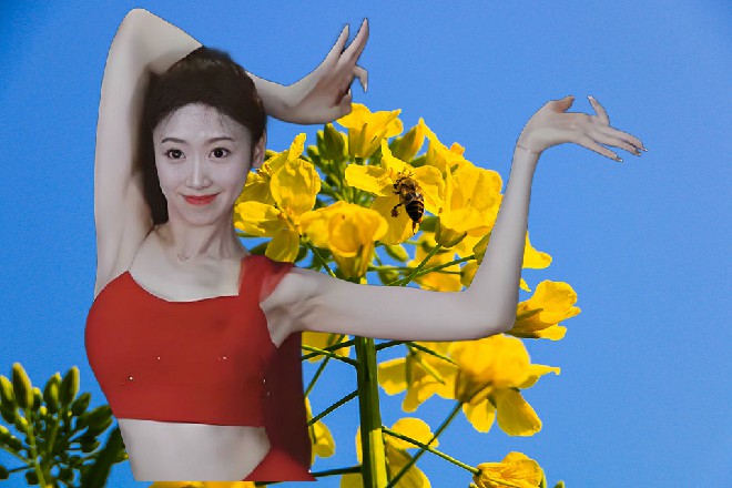 这是我们藏剑山庄的事情，何时轮到你们神武营来管了