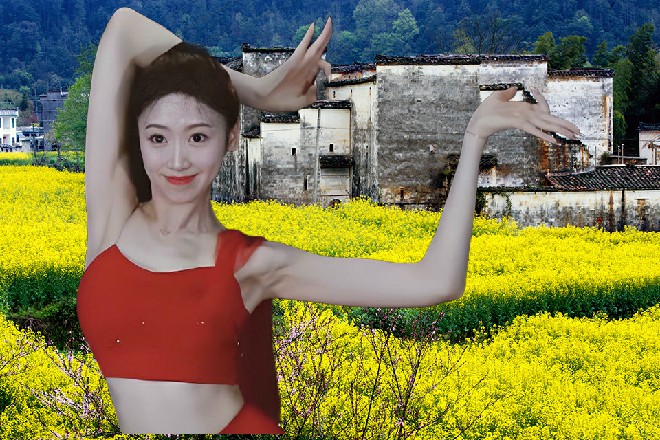 龙家的弟子，不是应该擅长药学么，为何刀法也这么厉害