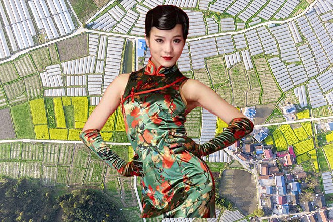 说着，他看了一眼自己胸前的编号，就叫我5233号吧