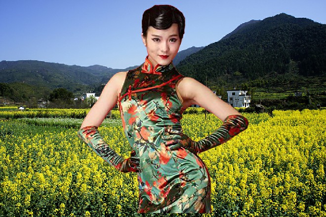 石龙重得有十多吨，而这一个咬合的力量，起码接近百吨