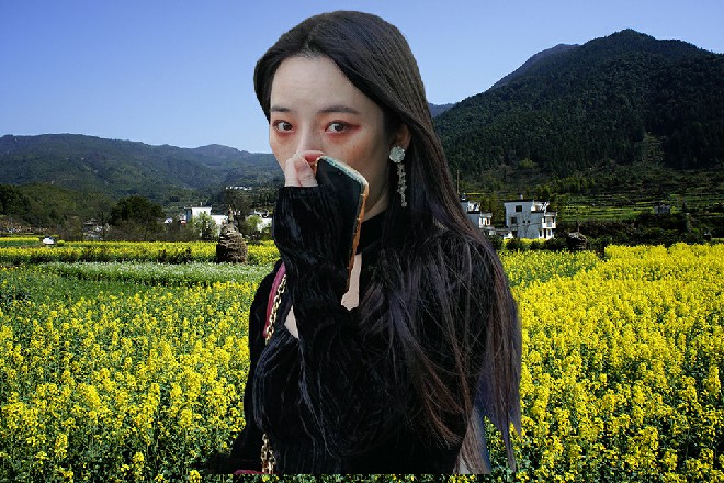 军官说道：一点浅薄的鉴赏水平，大人不笑话我就好了
