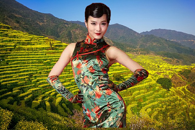 就让俺试试，是你的战龙决厉害，还是我的逆龙反厉害