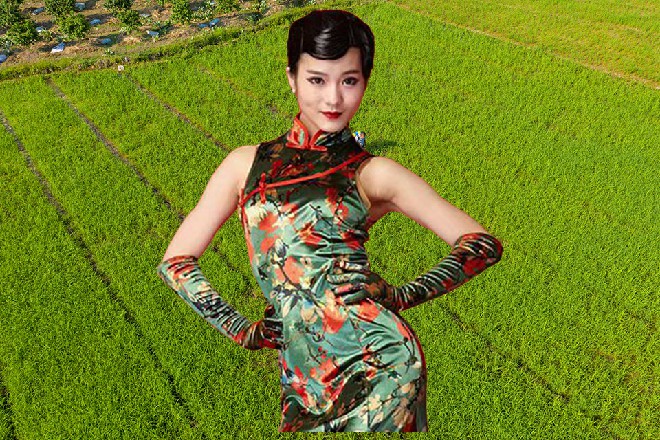 身后一共一百轮恶魔大炮，对着托尼就是不断地炮轰
