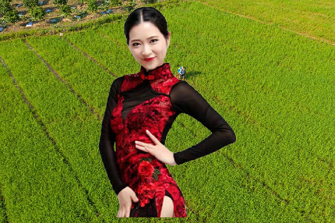 诺曦S并不知道几个城主的心思，他现在正是春风得意