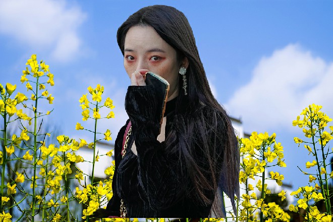 自己怎么会做这样的梦的，龙阳公主是谁，左殇又是谁